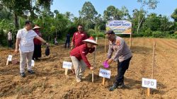 Polsek Kuantan Hilir dan Pemerintah Desa Kampung Madura Tanam Jagung Pipil Dukung Program Asta Cita Presiden