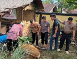 Polsek Kuantan Hilir Gelar Penyembelihan Hewan Qurban, Wujud Kepedulian Sosial di Hari Raya Idul Adha 1447 H