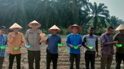 Dukung Program Asta Cita, Desa Suka Damai Tanam Jagung Pipil