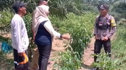 Bhabinkamtibmas Desa Air Emas Cek Pekarangan Bergizi Warga, Dukung Program Asta Cita Presiden