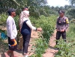 Bhabinkamtibmas Desa Air Emas Cek Pekarangan Bergizi Warga, Dukung Program Asta Cita Presiden