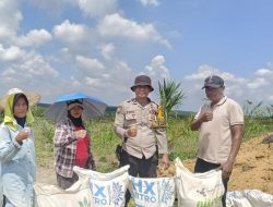 Bhabinkamtibmas Serahkan Pupuk untuk Dukung Ketahanan Pangan Jagung di Suka Maju