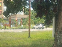 Kantor Dinas Perpustakaan dan Arsip Daerah Kuansing Dipenuhi Rumput Liar, Warga Desak Bupati Evaluasi Kinerja Kadis