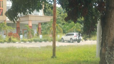 Kantor Dinas Perpustakaan dan Arsip Daerah Kuansing Dipenuhi Rumput Liar, Warga Desak Bupati Evaluasi Kinerja Kadis
