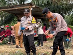 Kapolsek  Pangean IPTU Mario Suwito,SH MH Tanam Langsung Jagung Pipil  Dukung Ketahanan Pangan di Desa Sukaping