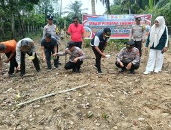 Polsek Kuantan Mudik Dukung Swasembada Pangan 2026, Tanam Jagung Pipil di Desa Pulau Rumput